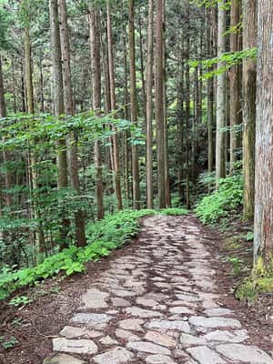 image n.2 of Nagoya: Nakasendo Trail with Cultural Experience & transport activity in Chubu Region, uploaded by supplier