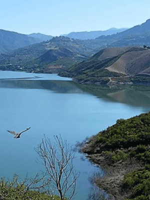 Immagine nº 2 di Creta meridionale: tour naturalistico alla scoperta di villaggi panoramici, gole e laghi attività a Creta, caricata dal fornitore