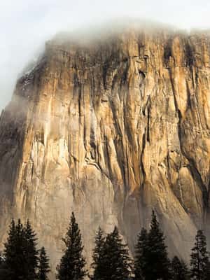 imagem n.2 de Aventura de acampamento de 3 dias no Vale de Yosemite atividade em Califórnia, carregada pelo fornecedor