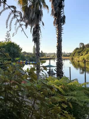 image n.2 of تاورانجا: تذكرة دخول إلى متنزه Waimarino Adventure Park Supreme activity in تورانجا, uploaded by supplier