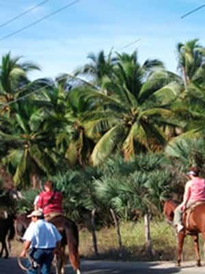 imagem n.2 de Zihuatanejo: Passeio a cavalo na praia atividade em Zihuatanejo, carregada pelo fornecedor