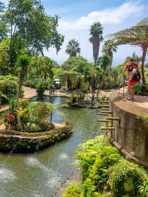 image n.2 of Madeira: Monte Tropical Gardens + Old Town Tuk Tuk by MadTuk activity in Funchal, uploaded by supplier