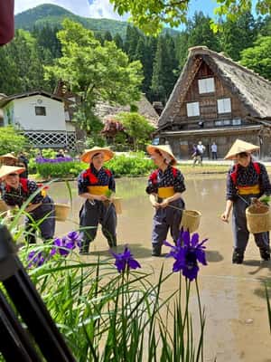image n.2 of Nagoya: Hida Takayama & Shirakawa-go Tour w/Optional Lunch activity in Shirakawa, uploaded by supplier