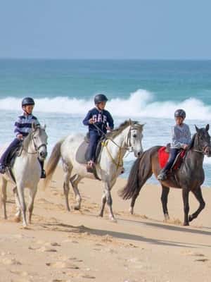 imagem n.2 de Melides: Passeios a cavalo na praia de Melides atividade em Melides, carregada pelo fornecedor