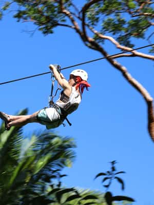 image n.2 of Puerto Vallarta: Zipline Canopy Tour activity in Puerto Vallarta, uploaded by supplier