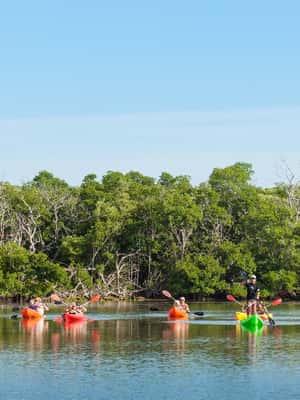 imagen n.º 2 de Excursión vespertina en velero, snorkel, kayak y puesta de sol en Cayo Hueso actividad en Costa del Atlántico Norte, EE. UU., subida por el proveedor