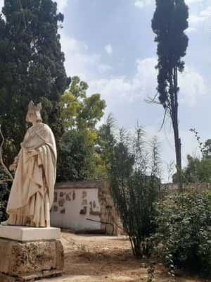 Image N°2 de Visite de l'ancienne Carthage et de Sidi Bou Said avec déjeuner activité à Carthage, publiée par le prestataire