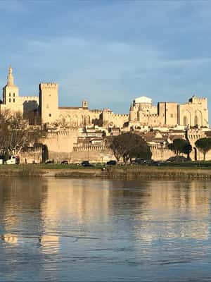 billede nr.2 af aktiviteten Avignon: Oplev hemmelighederne i Pavepaladset i Avignon, uploadet af udbyder