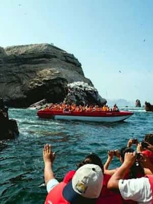 foto no. 2 dari aktivitas Paracas: Tur Kepulauan Ballestas dan Cagar Alam Nasional Paracas di Paracas, diunggah oleh pemasok