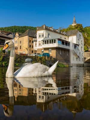 image n.2 of Vianden: Captivating Private Walking Tour activity in Vianden, uploaded by supplier