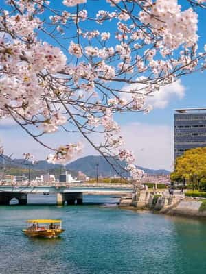Image N°2 de Au départ de Kyoto/Osaka/Nara : visite privée d'Hiroshima et Miyajima activité à Hiroshima, publiée par le prestataire