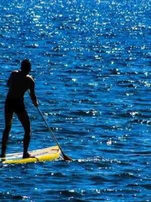image n.2 of Houston: Kayak and Paddleboard Rental activity in Houston, uploaded by supplier