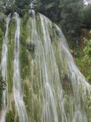 image n.2 of El Limón Waterfall Horseback Riding Tour activity in Samaná, uploaded by supplier
