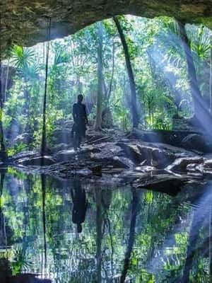 slika št. 2 aktivnosti Iz Cancuna: potapljaška izkušnja Chikin Ha Cenote na destinaciji Quintana Roo, naložil dobavitelj