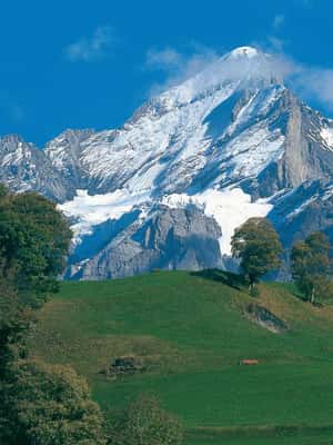 зображення №2 активності «Люцерн: одноденна екскурсія в швейцарські Альпи Інтерлакен і Гріндельвальд» в такій локації: Рарон, завантажене постачальником