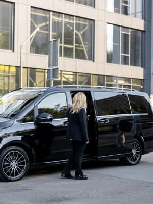 billede nr.2 af aktiviteten VIP-oplevelse til Maggiore-søen og Borromean Gems i Piemonte, uploadet af udbyder