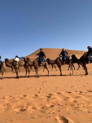 imagen n.º 2 de Tour privado de lujo por el desierto de Casablanca 9 días actividad en Mequínez, subida por el proveedor