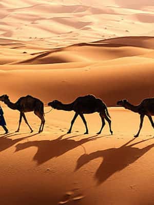 bilde nr.2 av Fra Fes til Marrakech: 3-dagers oppdagelsesreise i Sahara-ørkenen aktivitet i Drâa-Tafilalet, lastet opp av leverandør