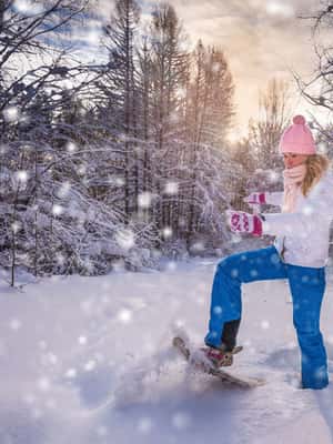 image n.2 of Abisko: Wilderness Snowshoe Hike activity in Norrbotten County, uploaded by supplier