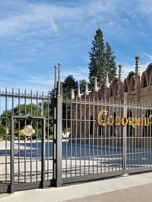 billede nr.2 af aktiviteten Penedès: Opdagelsestur med Cava-smagning i Sant Sadurní d'Anoia, uploadet af udbyder