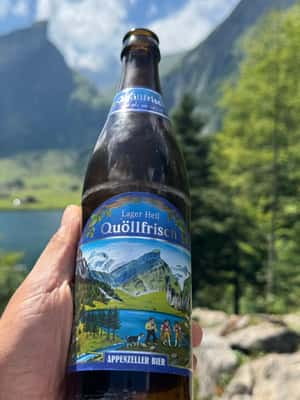 2. attēls no No Cīrihes: privāta pārgājiena uz apburošo Seealpsee ezeru aktivitātes Apencelle, augšupielādējis partneris