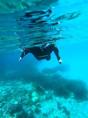 image n.2 of Chalkidiki: Snorkeling Adventure in Sithonia activity in Sithonia, uploaded by supplier