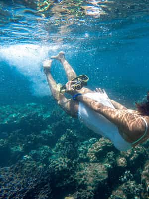 image n.2 of Phuket: Deluxe Phi Phi Tour by Speedboat & Lunch Buffet activity in Gulf of Thailand, uploaded by supplier