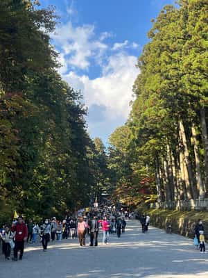 Immagine nº 2 di Giappone: Tour privato di Tokyo e della campagna con guida attività a Tokyo, caricata dal fornitore