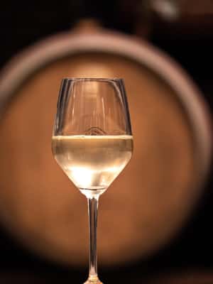 Bild Nr. 2 von Von Ljubljana aus: Vipava Valley Wine Express Tour Aktivität in Ljubljana, hochgeladen vom Anbieter