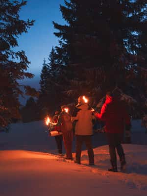 image n.2 of Oslo: Snowy Forest Torchlight Walk with Campfire activity in Oslo, uploaded by supplier