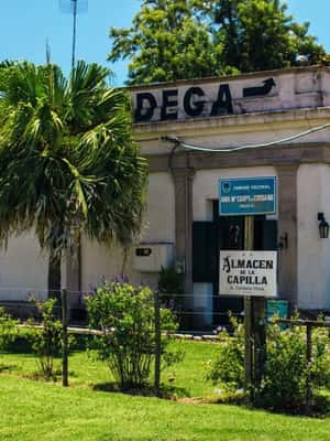 Immagine nº 2 di Cantina Cordano – Fondata dal nonno di José Mujica attività a Colonia del Sacramento, caricata dal fornitore