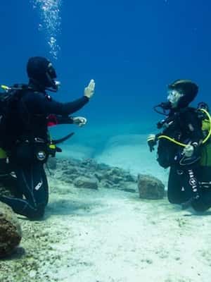 image n.2 of PADI Discover Scuba Diving: at Hol Chan Marine Reserve activity in San Pedro, Belize, uploaded by supplier