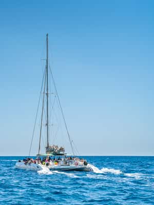 Palma de Mallorca: 5-Hour Catamaran Cruise with Lunch & Swim