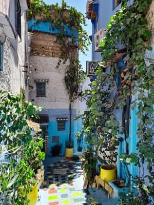 billede nr.2 af aktiviteten 2-dages tur fra Fes: Volubilis, Meknès & Chefchaouen i Meknès, uploadet af udbyder