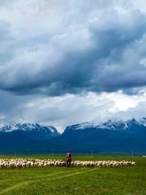Pramogos teikėjo įkelta pramogos „Iš Urumčio: 7 dienų ekskursija po Šilko kelią su Kašgaro ir Turpano miestu“, Gorno Badachšano autonominė provincija, nuotrauka (2)