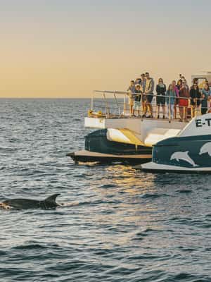 bild nr.2 av Port d'Alcudia: Soluppgång till havs och båttur med delfinskådning aktivitet i Port d'Alcúdia, uppladdad av arrangören