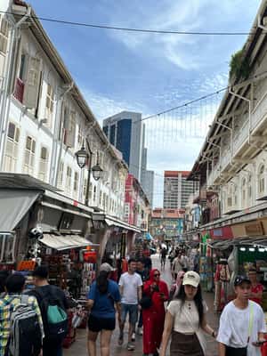 imagen n.º 2 de Tour en coche por Singapur: Chinatown/Haji Lane/Joo Chiat actividad en Singapur, subida por el proveedor