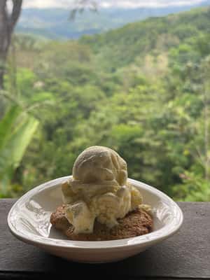 image n.2 of Manuel Antonio Villa Vanilla spice tour activity in Puntarenas Province, uploaded by supplier