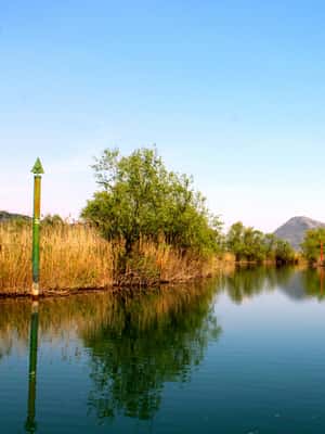 Bild Nr. 2 von Virpazar: Geführte Kreuzfahrt auf dem Skadar-See und dem Fluss Crnojevića Aktivität in Kreis Shkodra, hochgeladen vom Anbieter