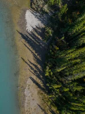 image n.2 of Canmore: 1.5 Hour Scenic Raft Tours in the Rockies activity in Alberta, uploaded by supplier