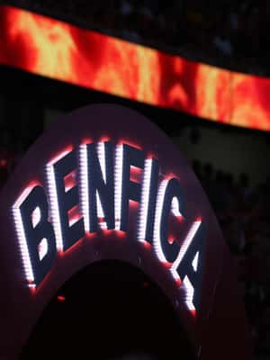 imagem n.2 de Lisboa: Passeio pelo estádio do Benfica Luz com cachecol de lembrança atividade em Lisboa, carregada pelo fornecedor
