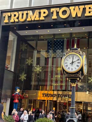 תמונה מס' ⁦2⁩ מתוך ⁦ניו יורק: סיור רגלי ב"טור דה טראמפ"⁩, פעילות ב⁦ניו יורק (עיר)⁩, הועלתה על-ידי הספק