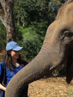 image n.2 of Chiang Mai: Doi Inthanon Hiking Tour & Elephant Care Program activity in Chiang Mai, uploaded by supplier