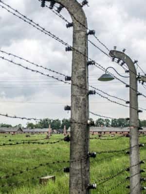 Immagine nº 2 di Da Varsavia: Tour guidato ad Auschwitz-Birkenau e a Cracovia attività a Oswiecim, caricata dal fornitore