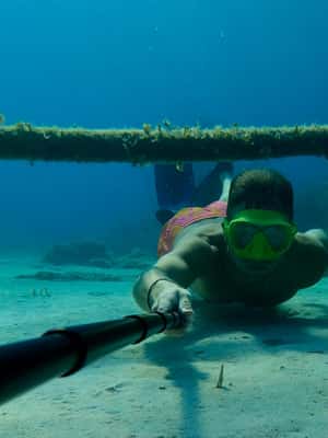 afbeelding n.2 van Nice: Rondvaart Lerins Eilanden met snorkelen activiteit in Cannes, geüpload door aanbieder