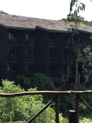 imaginea n.2 a activității De la mombasa: Shimba Hills Rezervația Națională Safari de zi în Provincia Coastei, încărcată de organizator