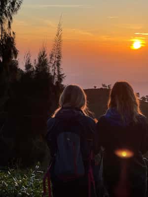obrázok č. 2 aktivity Od Elly: Lipton Seat & Dambatenne Tea Factory Day Tour v destinácii Badulla, obrázok nahral dodávateľ
