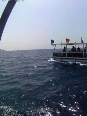 imagen n.º 2 de PRIVATE TOUR (PONTON PARTY) actividad en Benidorm, subida por el proveedor