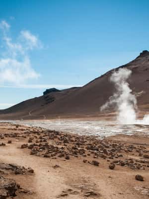 image n.2 of From Akureyri: Mývatn Lake & Goðafoss CruiseShip tour +Lunch activity in Northeastern Region, Iceland, uploaded by supplier
