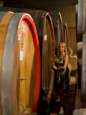 billede nr.2 af aktiviteten BAROLO: GUIDET OPLYSNING TIL VINKÆLDEREN OG VINSMAGNING MED PRODUCENTEN i Barolo, uploadet af udbyder